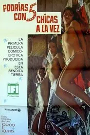 Can You Be with Five Girls at Once? movie poster