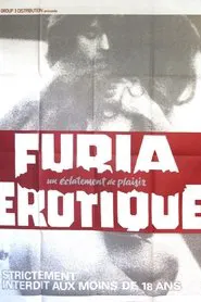 Poster do filme Hotel zur scharfen Muschi