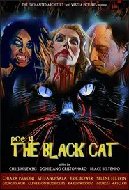 POE 4: The Black Cat movie poster