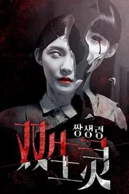 Poster do filme Twin Spirit