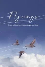 Flyways movie poster