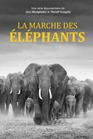 Poster da série Elefanten hautnah