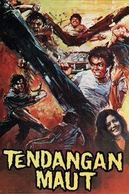 Deadly Kick movie poster