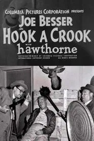 Poster do filme Hook a Crook