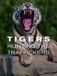 Tigers: Hunting the Traffickers movie poster