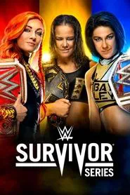 Poster do filme WWE Survivor Series 2019