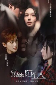 The Stranger in the Mirror tv show poster