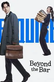 Beyond the Bar tv show poster