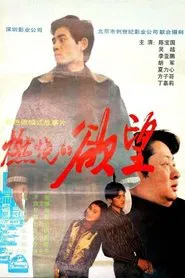 燃烧的欲望 movie poster