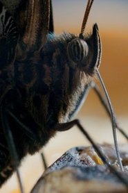 One Life movie poster