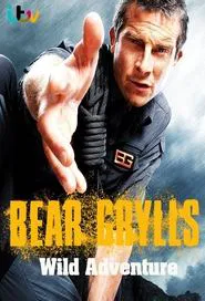 Poster da série Bear Grylls Wild Adventure
