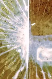 Destellos movie poster