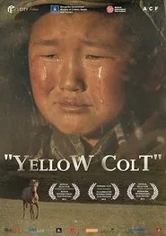 Poster do filme Yellow Colt