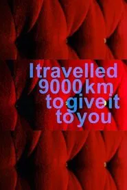 I Travelled 9000 km to Give It to You movie poster