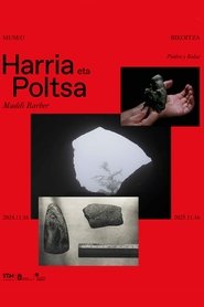 Stone and bag movie poster