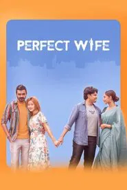 Perfect Wife movie poster