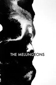 The Melungeons movie poster