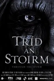Through the Storm movie poster