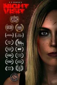 Night Visit movie poster