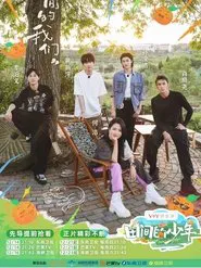 田间的少年 tv show poster