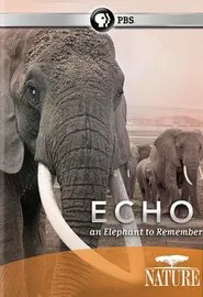 Echo: An Elephant to Remember movie poster