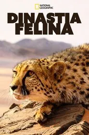 Poster da série Dinastia Felina