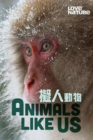 Animals Like Us tv show poster