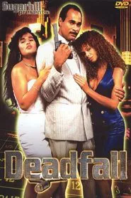 Deadfall movie poster