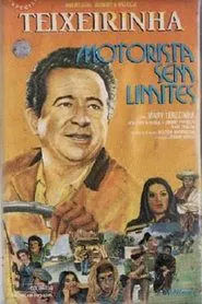 Poster do filme Motorista Sem Limites