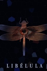 Libélula movie poster