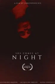 SHE COMES AT NIGHT movie poster