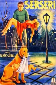Serseri movie poster
