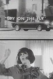 Spy on the Fly movie poster