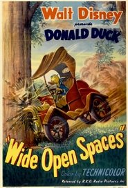 Wide Open Spaces movie poster