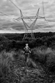 The Box movie poster