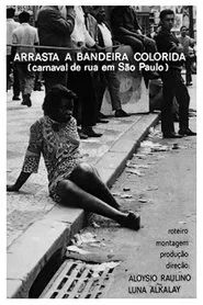 Arrasta a Bandeira Colorida movie poster