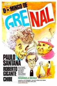 Domingo de Gre-Nal movie poster