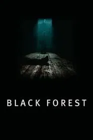 Poster do filme Floresta Negra