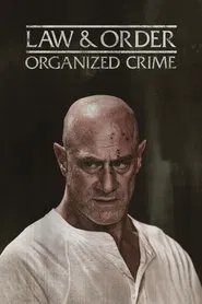 Law & Order: OC tv show poster