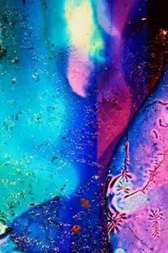 Color Neutral movie poster