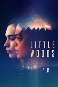 Little Woods movie poster