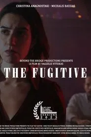 The Fugitive movie poster