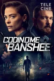 Poster do filme Codinome Banshee
