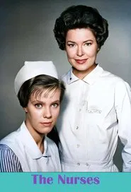 The Doctors and the Nurses tv show poster