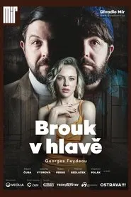 Poster do filme Brouk v hlavě