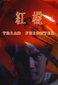 Poster do filme Triad Fighter