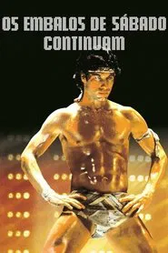 Poster do filme Os Embalos de Sábado Continuam