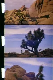 Lost Horse Valley movie poster