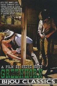Poster do filme Greenhorn