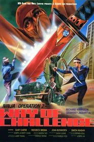 Ninja Operation 2 - Way of Challenge movie poster